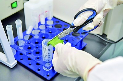 विश्वसनीय बैक्टीरियल पहचान बाबियो के ग्राम स्टेन किट के साथ सरल बनाई गई