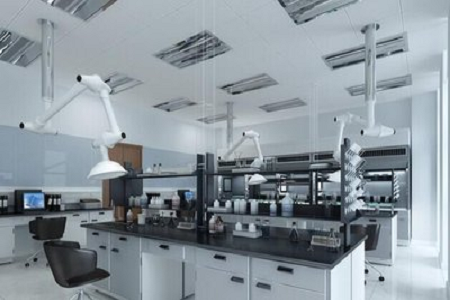 फास्टिडियस बैक्टीरिया के लिए उच्च गुणवत्ता वाला जीसी एगर बेस - BABIO