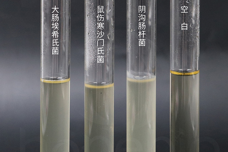 बैबियो बायोटेक्नोलॉजी ने विश्वसनीय माइक्रोबियल संवर्धन के लिए उच्च-प्रदर्शन ब्रेन हार्ट इन्फ्यूजन ब्रोथ लॉन्च किया